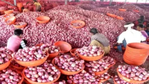 तमिलनाडु में सस्ता बिक रहा प्याज, इन दुकानों से खरीद सकते हैं 35 रुपये में एक किलो​on September 3, 2026 at 6:17 pm