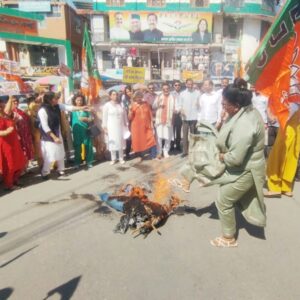 मंडी में BJP महिला मोर्चा का प्रदर्शन:राहुल गांधी का पुतला फूंका; यौन उत्पीड़न के आरोपी कांग्रेस सांसद से इस्तीफे की मांग