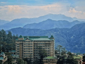 हाईकोर्ट ने आवारा कुत्तों की नसबंदी बढ़ाने के आदेश दिए:ABC सेंटर शिमला में डॉक्टर नहीं होने पर फटकार; अगली सुनवाई तक तैनाती करनी होगी