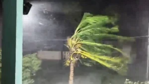 चक्रवात अर्नब का लैंडफॉल, आंध्र प्रदेश में आंधी तूफान के साथ भारी बारिश, कई जिलों में पेड़ उखड़े; बिजली की लाइनें टूटी​on October 28, 2026 at 1:09 am