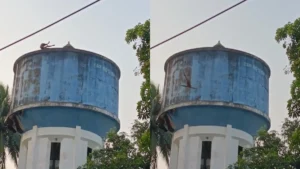 मेडिकल कॉलेज में पानी की टंकी पर चढ़ गया युवक, रेस्क्यू पूरा होने से पहले ही नीचे कूद गया​on October 6, 2026 at 10:13 am