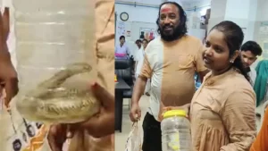 सांप ने काटा तो जिंदा कोबरा लेकर अस्पताल पहुंच गई युवती, डॉक्टरों-मरीजों में मचा हड़कंप​on October 17, 2026 at 6:29 am