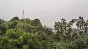 हरियाणा में बदला मौसम का मिजाज, 20 राज्यों में आज आंधी-तूफान के साथ बारिश की चेतावनी; राजस्थान में गिर सकते हैं ओले​on October 15, 2026 at 2:40 am